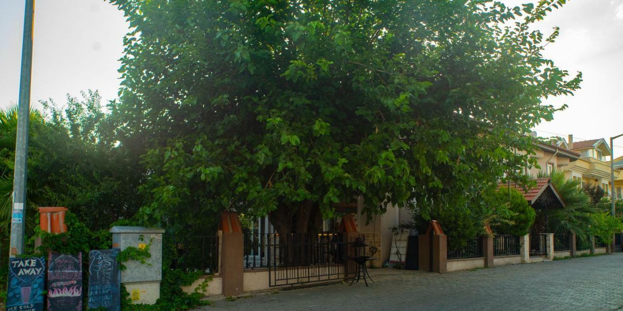 Eon Dalyan Boutique Hotel Εξωτερικό φωτογραφία